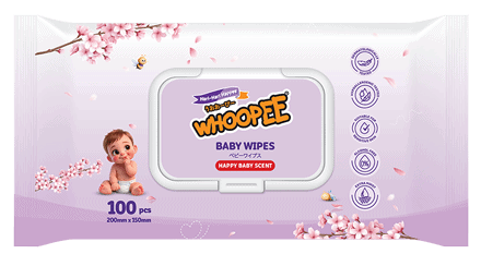 home whoopee baby wipes